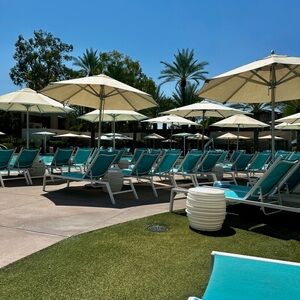 Meet your Posher, Shane